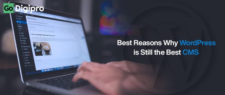 Best Reasons Why WordPress is Still the Best CMS